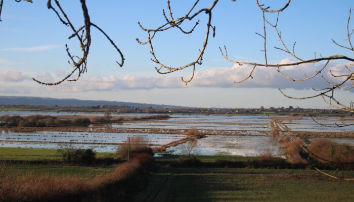 Somerset flooding
